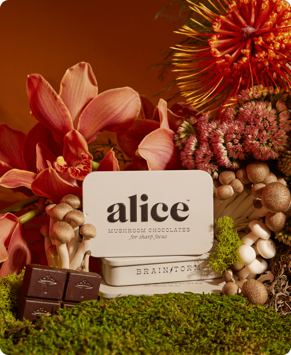Brainstorm — mushroom chocolates for focus - Free Living Co