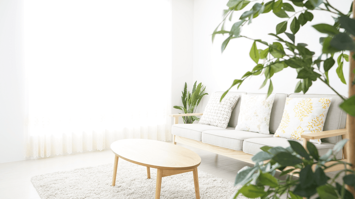 A Realistic Guide to Low Tox Living