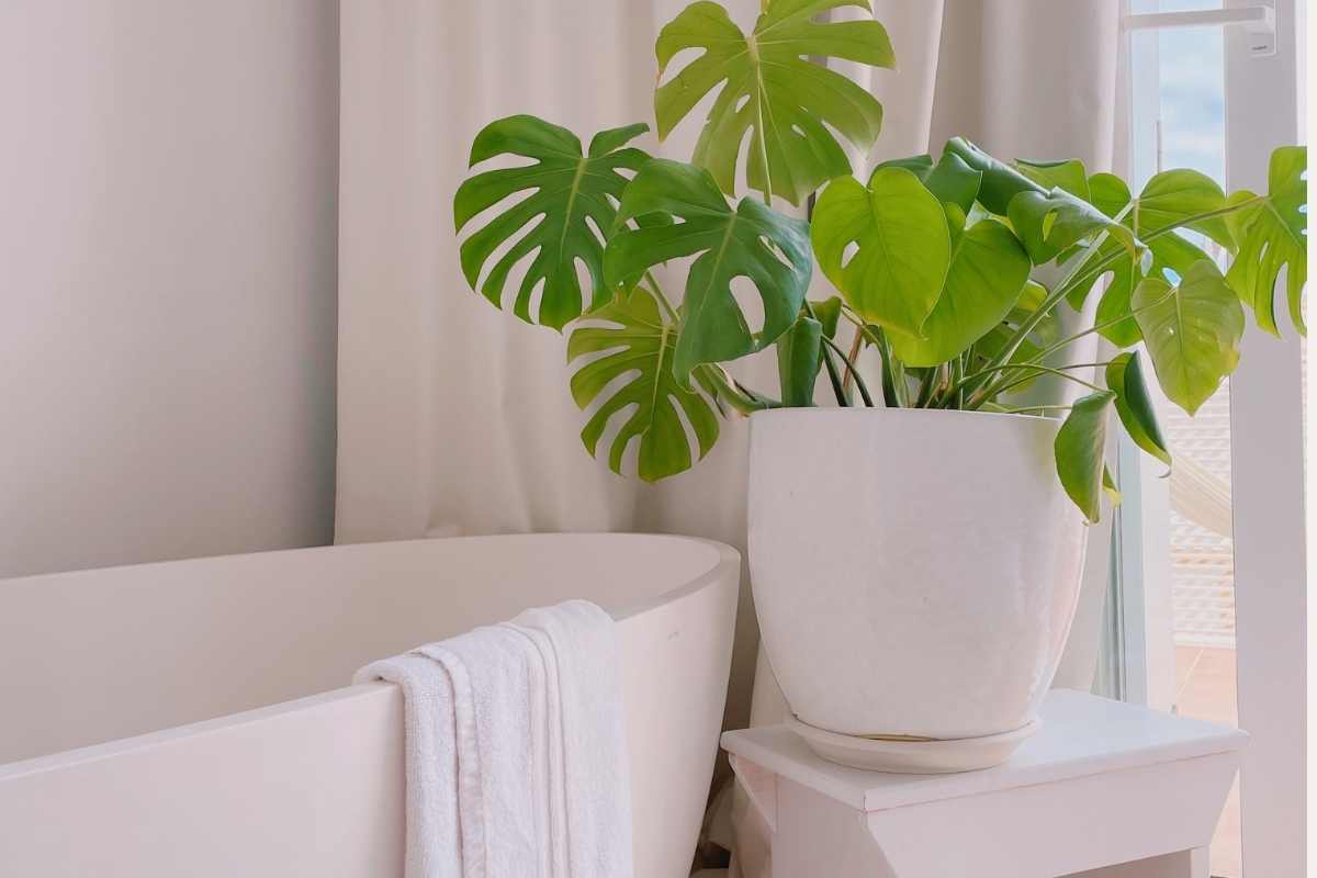 How to Choose Clean Products: A Simple Guide to Finding Truly Non-Toxic Options for Your Home and Body