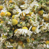 Chamomile Extract