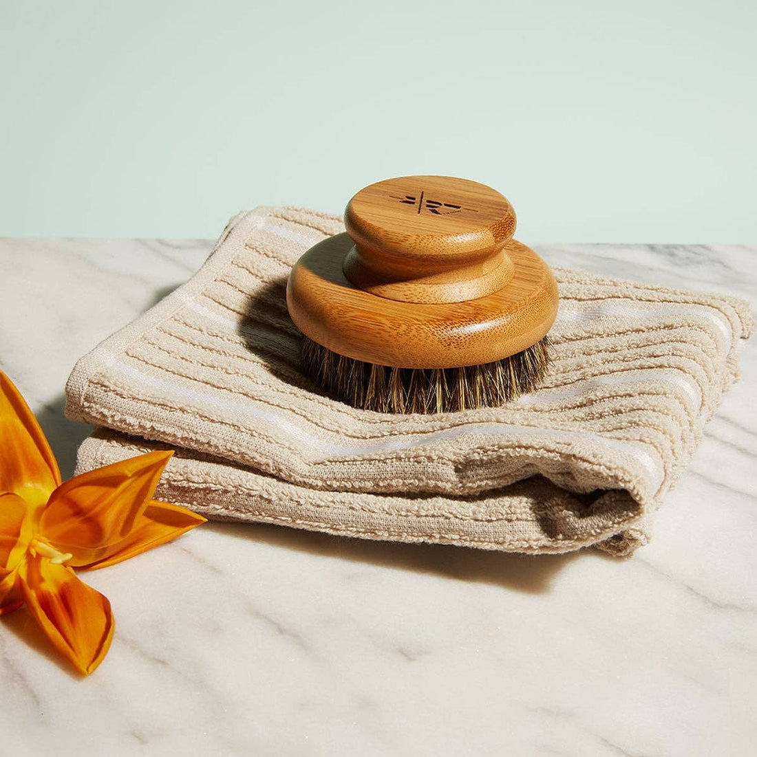 The Dry Brush - Free Living Co
