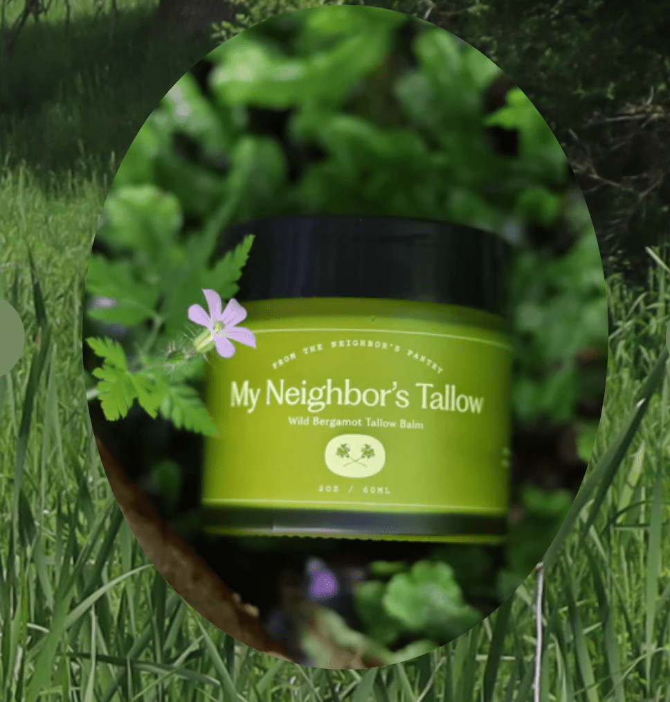 Wild Bergamot
